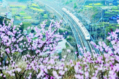 就地過年，“微旅游”成新潮流