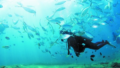 就地過年，“微旅游”成新潮流