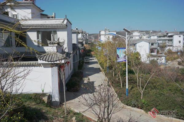 00303360986_208eb4e7 00303360986_208eb4e7