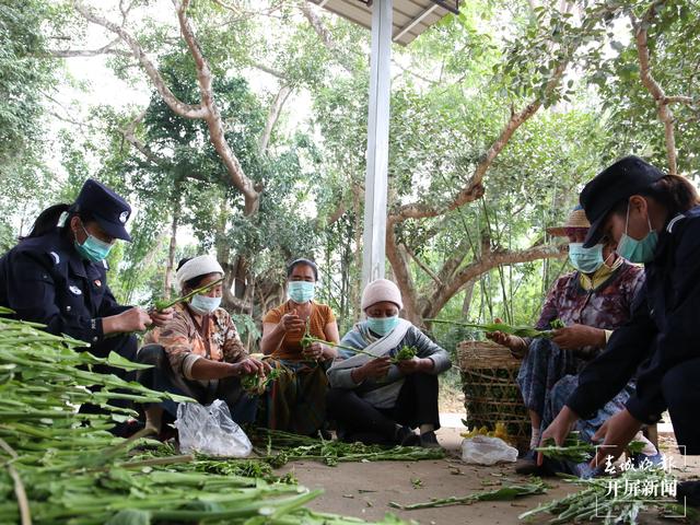 20210304084807JJDTRL