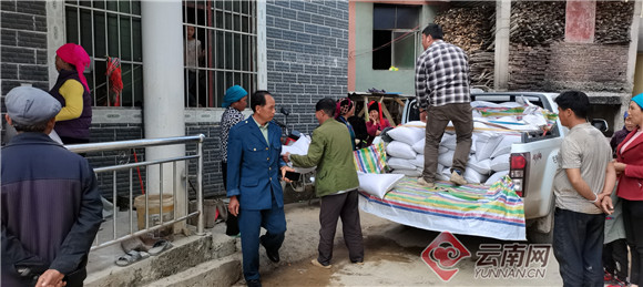 00303385931_67429477