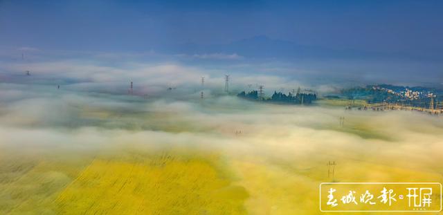 百萬畝油菜花開出千萬種姿態(tài)！此刻，最美的羅平等你來