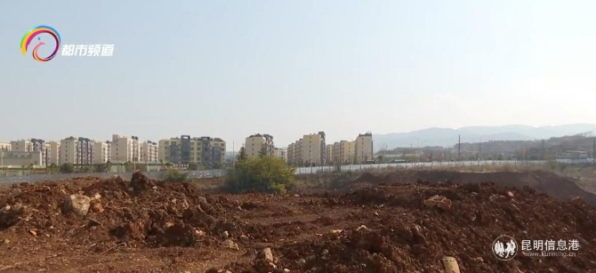 體育場02 體育場02