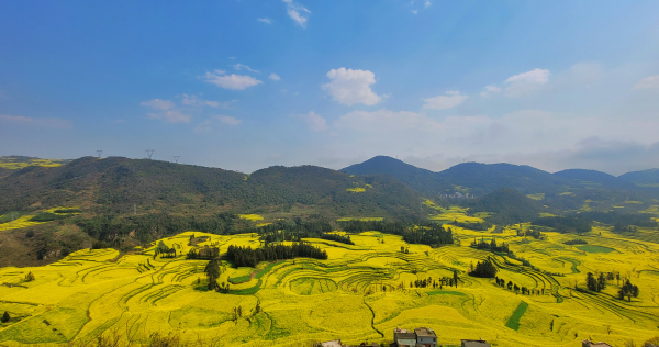 9729cc2daea54b838f3f8e919fc4bdac_small.png 9729cc2daea54b838f3f8e919fc4bdac_small.png