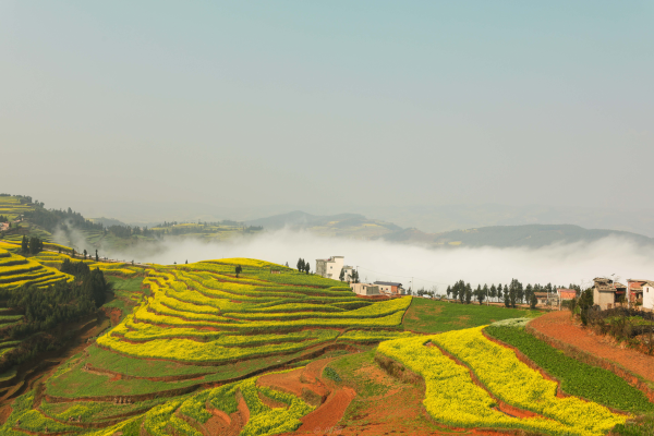 60669d11e24e4d438bb8b2006f1505c5_small.png 60669d11e24e4d438bb8b2006f1505c5_small.png