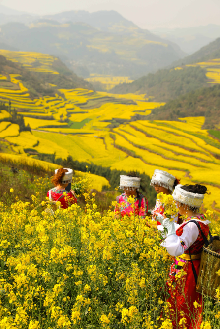 d476d45fd6994e1e9f84ba93db8dcb35_small.png d476d45fd6994e1e9f84ba93db8dcb35_small.png