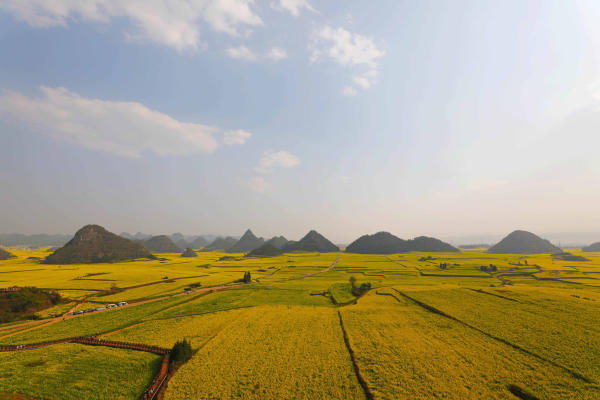 c3b82fa2513c4f65bbfea98bca404ed5_small.png c3b82fa2513c4f65bbfea98bca404ed5_small.png