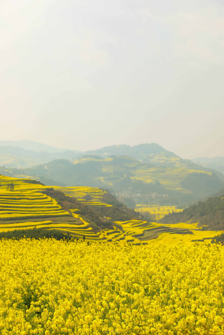 7a7b4e17c54444d09eedb5efdf84881e_small.png 7a7b4e17c54444d09eedb5efdf84881e_small.png