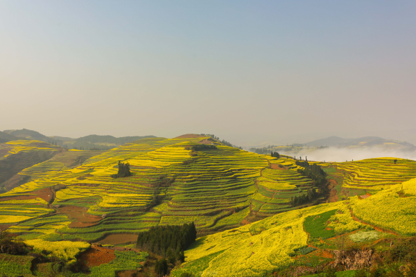 208b20c566c642d8bae34f4612bbd091_small.png 208b20c566c642d8bae34f4612bbd091_small.png