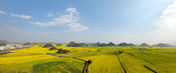 f07d555f486d445b956d4c6f7f5cbc06_small.png f07d555f486d445b956d4c6f7f5cbc06_small.png