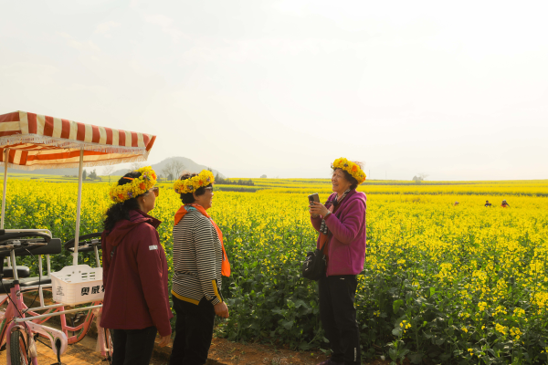 e27f1c79e2824211b8bd1f4abace42c0_small.png e27f1c79e2824211b8bd1f4abace42c0_small.png