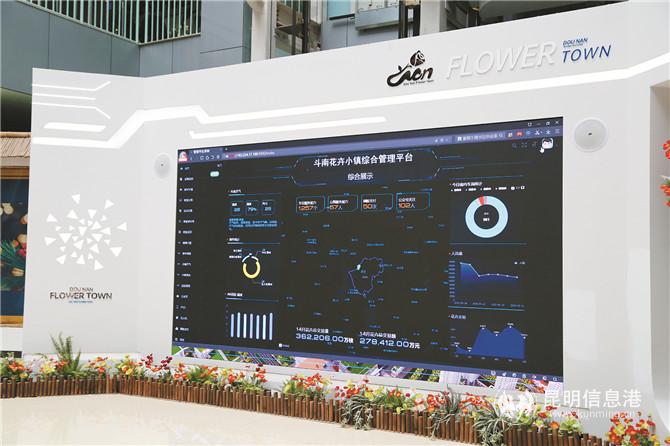 斗南花卉小鎮(zhèn)綜合管理平臺(tái) 斗南花卉小鎮(zhèn)綜合管理平臺(tái)