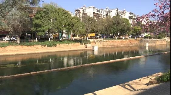 昆明盤龍江里有人栓繩遛娃