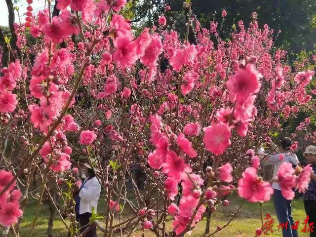 1127182184_16151649059191n 1127182184_16151649059191n