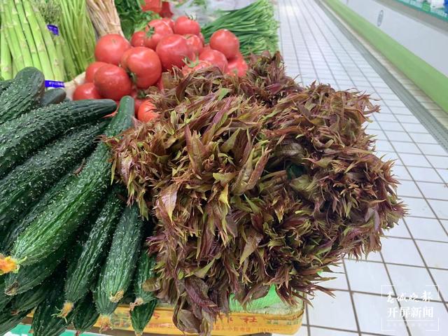 香椿(春城晚報-開屏新聞記者 艾子文 攝)