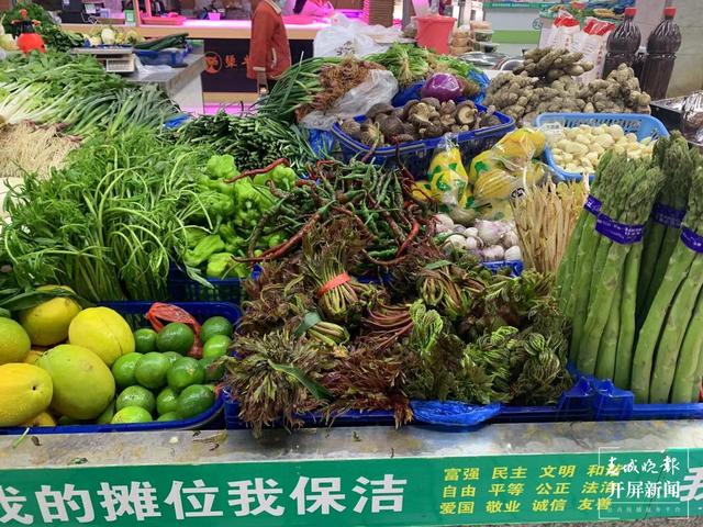 香椿(春城晚報-開屏新聞記者 艾子文 攝)