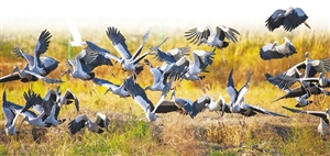 20210310A09_res20_attpic_icon 20210310A09_res20_attpic_icon