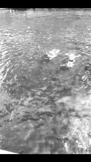 20210310A11_res08_attpic_icon 20210310A11_res08_attpic_icon