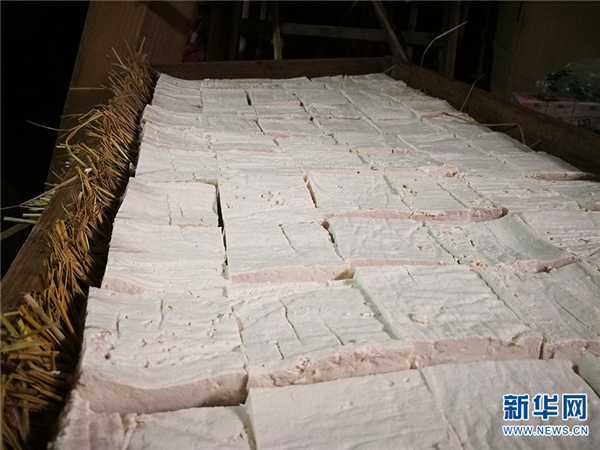 139785818_16150784422511n_副本 139785818_16150784422511n_副本