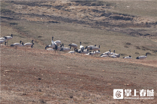 微信圖片_20210310230900 微信圖片_20210310230900