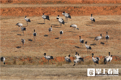 微信圖片_20210310230905 微信圖片_20210310230905