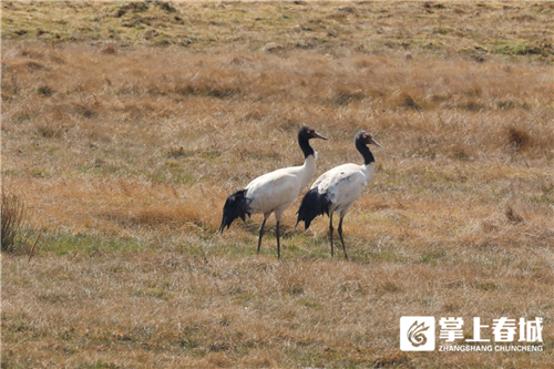 微信圖片_20210310230907 微信圖片_20210310230907