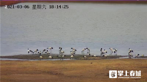 微信圖片_20210310230909 微信圖片_20210310230909