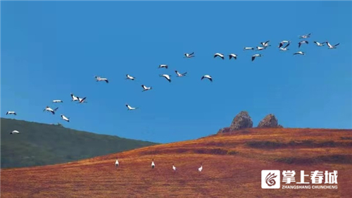 微信圖片_20210310230911 微信圖片_20210310230911