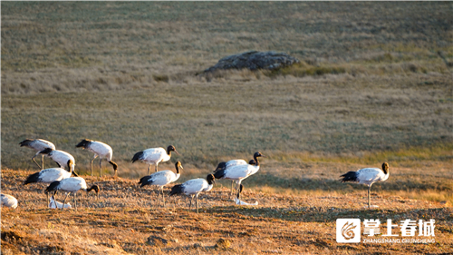 微信圖片_20210310230914 微信圖片_20210310230914