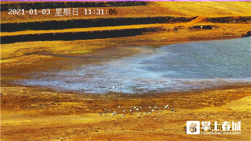 微信圖片_20210310230917 微信圖片_20210310230917