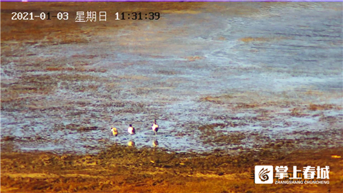 微信圖片_20210310230919 微信圖片_20210310230919