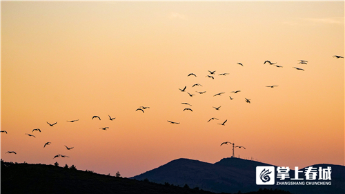 微信圖片_20210310230921 微信圖片_20210310230921