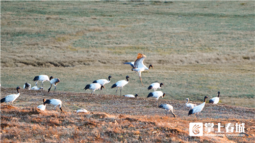 微信圖片_20210310230924 微信圖片_20210310230924