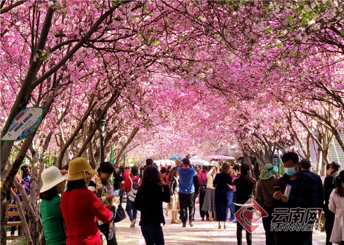 00303414162_7715863c (1) 00303414162_7715863c (1)