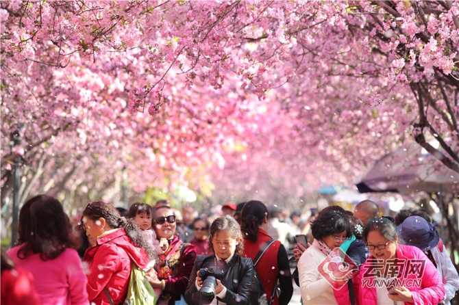 00303414163_11494842 00303414163_11494842