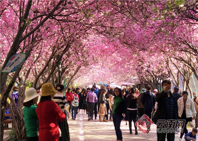 00303414164_dca96e1a 00303414164_dca96e1a