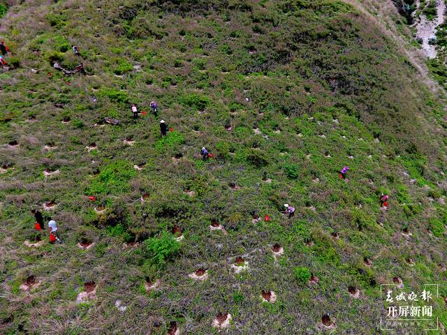 云南厚植生態(tài)底色，40年來(lái)累計(jì)義務(wù)植樹(shù)43.26億株