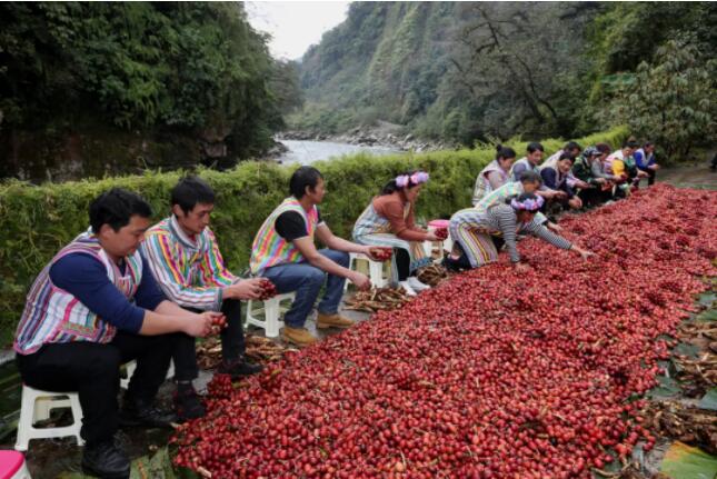 QQ截圖20210312170042 QQ截圖20210312170042