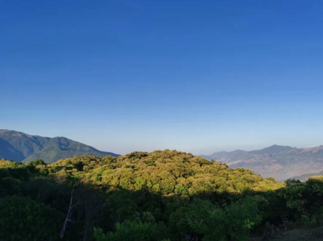 QQ截圖20210312170113 QQ截圖20210312170113