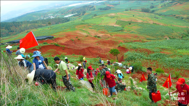 每年應(yīng)種3-5棵樹，昆明網(wǎng)友：我可以去哪盡義務(wù)？別激動，6月才是“云南植樹月”