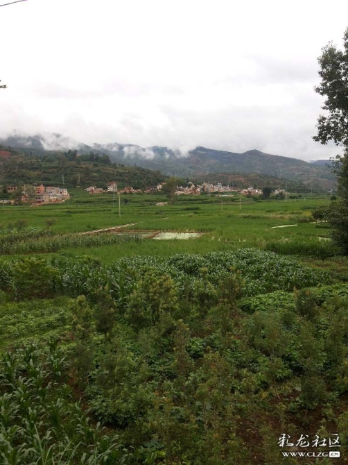 16144042895399536091230364255_67669 16144042895399536091230364255_67669