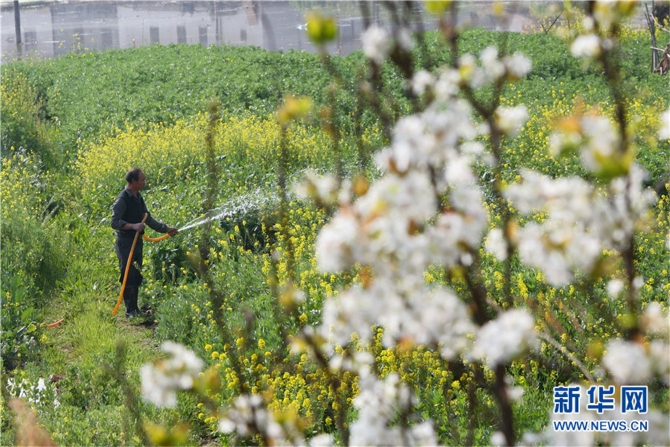 139812089_16158042528231n