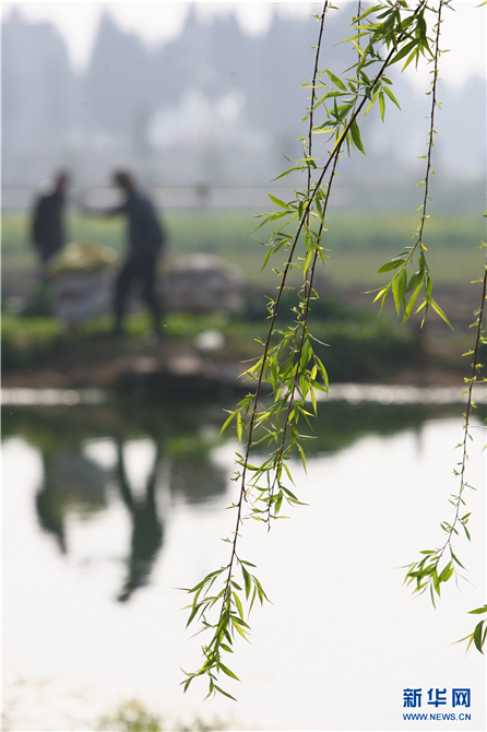 139812089_16158042532231n