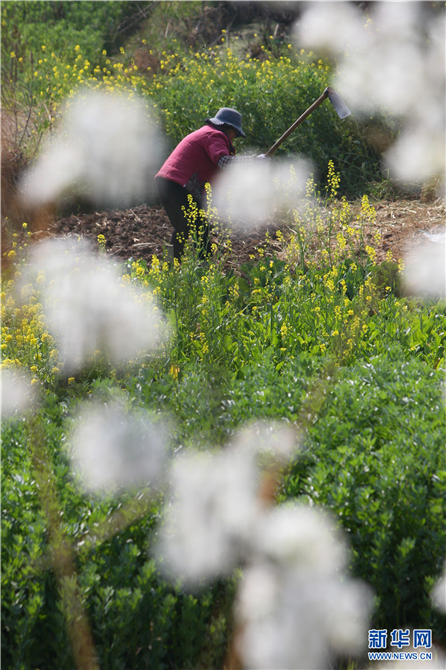 139812089_16158042542901n