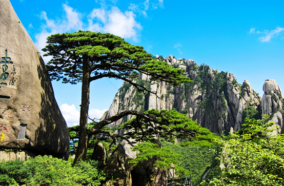 1127213168_16157954031501n 1127213168_16157954031501n