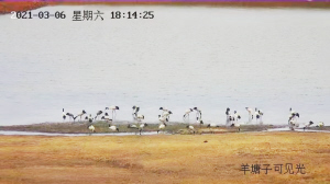 67181615918196928 67181615918196928