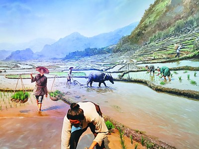 湖南長沙隆平水稻博物館：在這里體驗(yàn)一株水稻的文化傳承