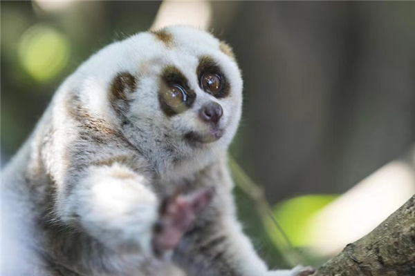 微信圖片_20210317200150_副本