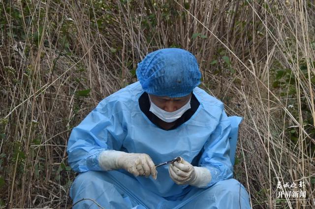 女法官 費(fèi)丹藝1.jpg