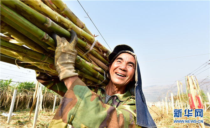 139814516_16158878311451n